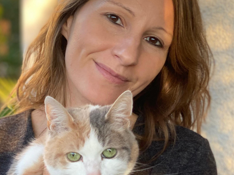 Diabetes bei der Katze verstehen und sicher managen