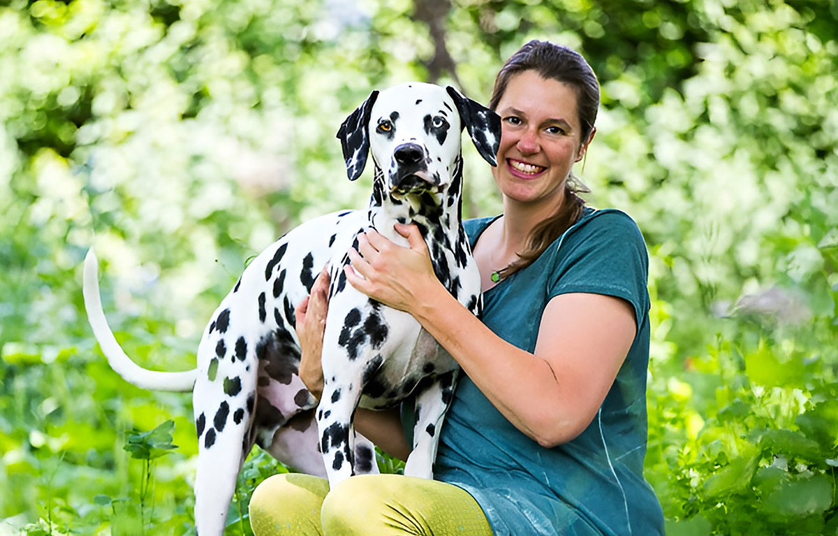 Der geriatrische Hunde- und Katzenpatient