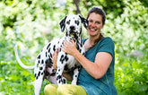 Der geriatrische Hunde- und Katzenpatient