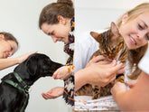 Geteiltes Bild für ein Webinar-Bundle. Solene Meunier mit Hund auf der linken Seite und Solene Meunier mit Katze auf der rechten Seite.