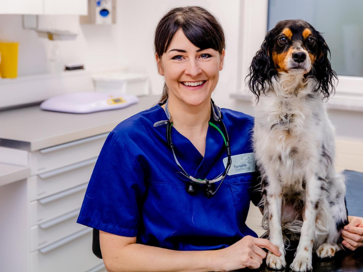 Zahnheilkunde vertieft für TFA