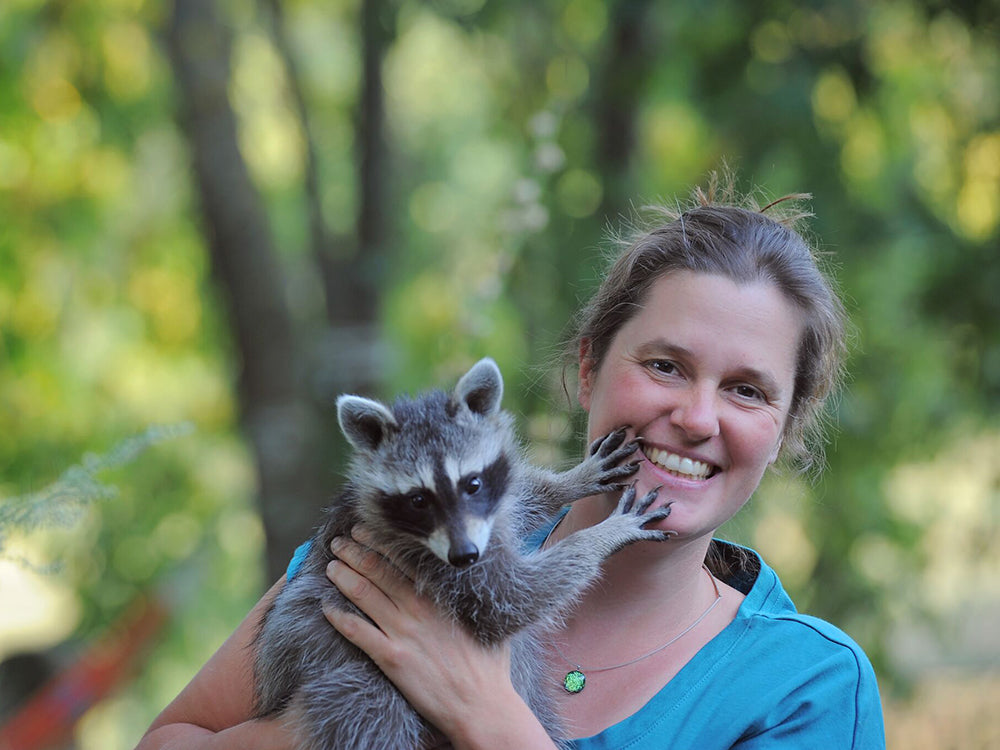 Schnelle Hilfe mit Phytotherapie